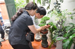 Nữ sinh Học viện Ngân hàng tử vong do sốt xuất huyết tại Hà Nội